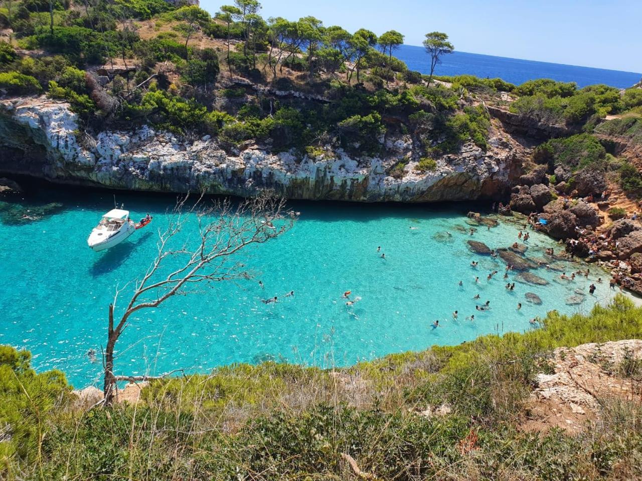 Casa Domingos Cales De Mallorca Dış mekan fotoğraf