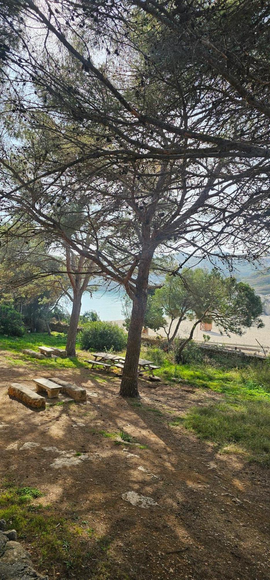 Casa Domingos Cales De Mallorca Dış mekan fotoğraf